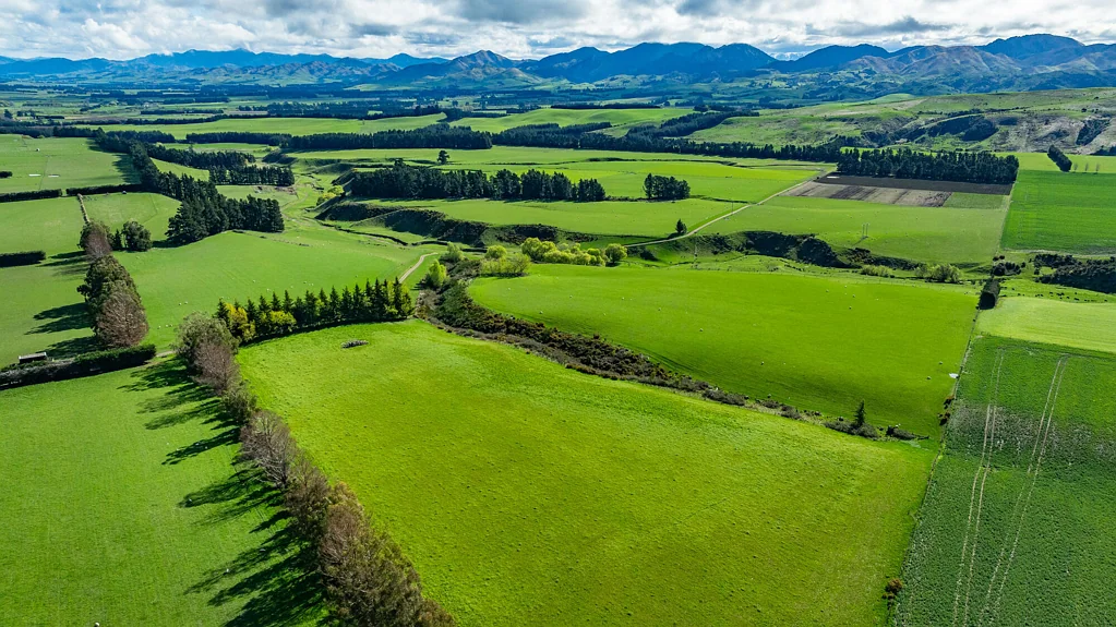 Waiau  Multiple Farming Options Available Here
