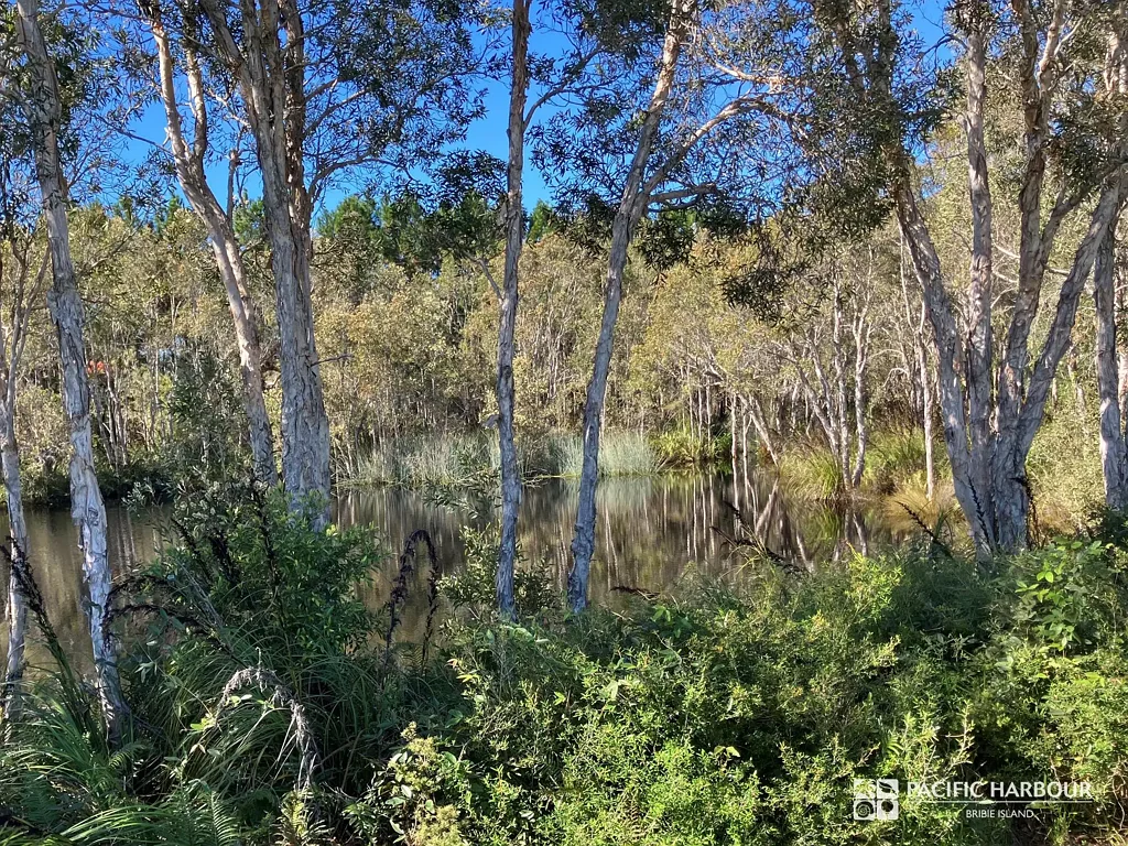 Banksia Beach NATURE VIEWS, ISLAND LOCATION