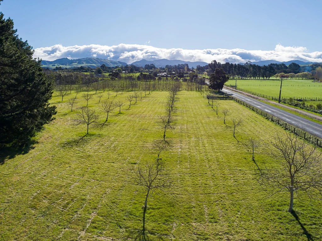 417 Upper Plain Road, Masterton, Wairarapa, 0 침실, 0 욕실, Lifestyle Section