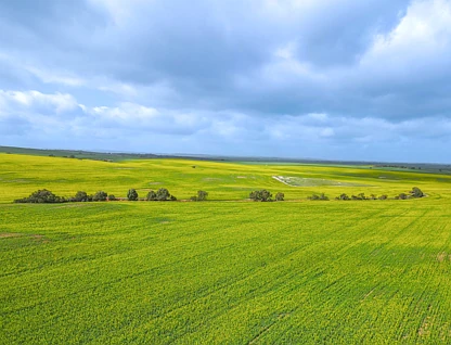 'Ghost Gully' Sectio Ghost Gully Road, Koolunga, Barossa - Yorke - Mid North, 0 ห้องนอน, 0 ห้องน้ำ, Lifestyle Property