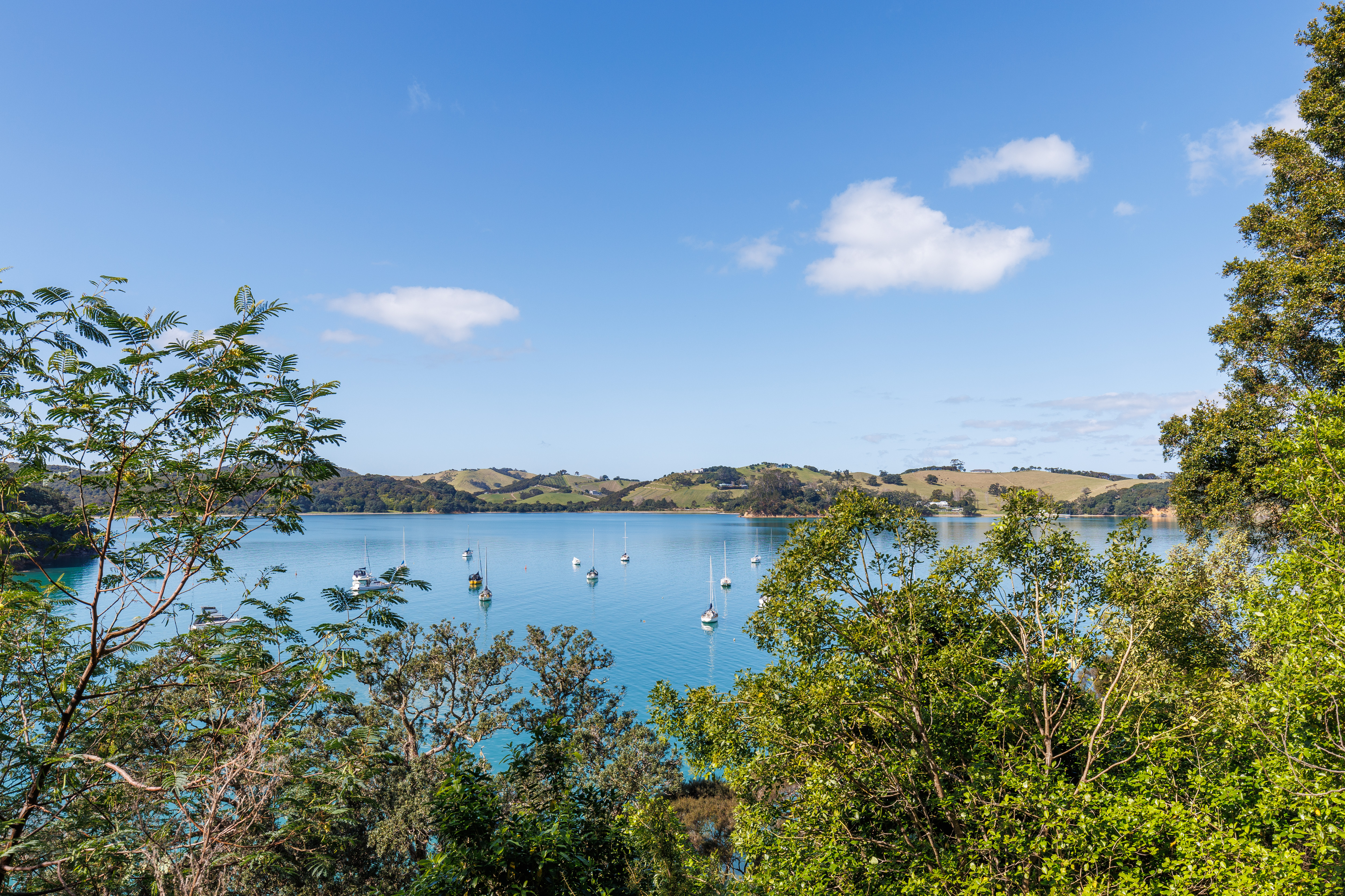 12 Pohutukawa Avenue, Omiha, Auckland, 0 ਕਮਰੇ, 0 ਬਾਥਰੂਮ, Section