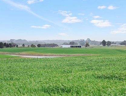 Carngham - Linton Road, Carngham, Ballarat, 0 कमरे, 0 बाथरूम, Lifestyle Property