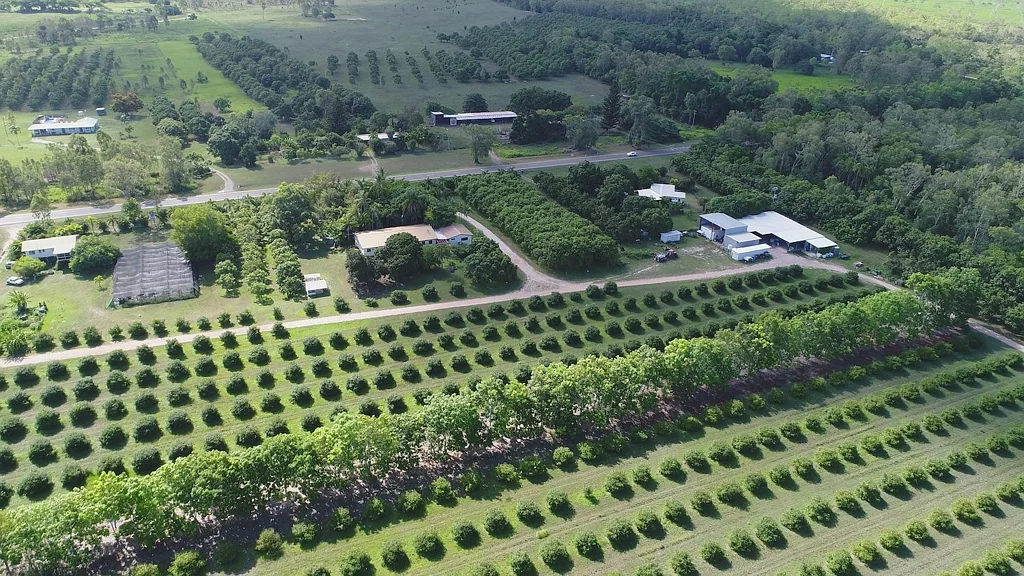 Giru Perfect for multi family or group, the Achacha is a unique project with certified organic/biodynamic plantation ripe and ready