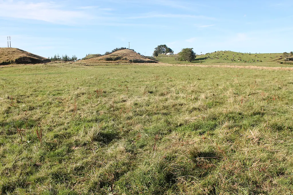 Ratapiko LIFESTYLE BARE LAND 
5.5 ha (12.5 acres)