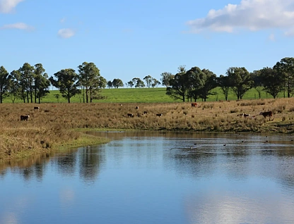 710 Inverary Road, Paddys River, South Coast, 5 Bedrooms, 3 Bathrooms, Lifestyle Section