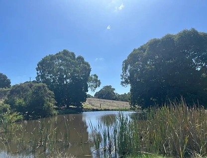 274 Dingup Road, Manjimup, WA 6258, 0 ਕਮਰੇ, 0 ਬਾਥਰੂਮ, Lifestyle Property