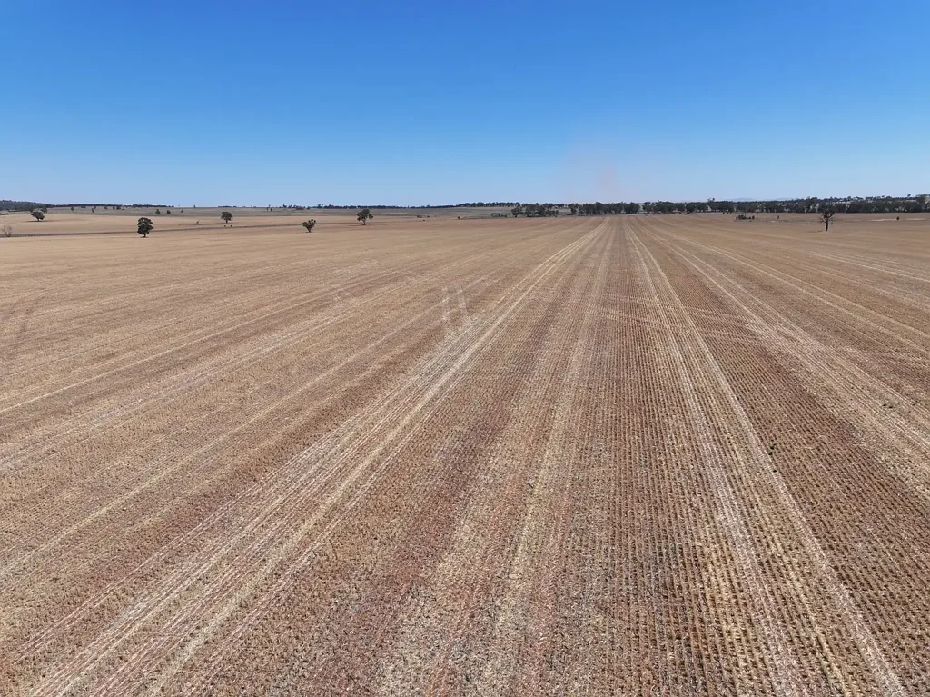 'Nolens'  5000 Barellan Road, Colinroobie, NSW 2700