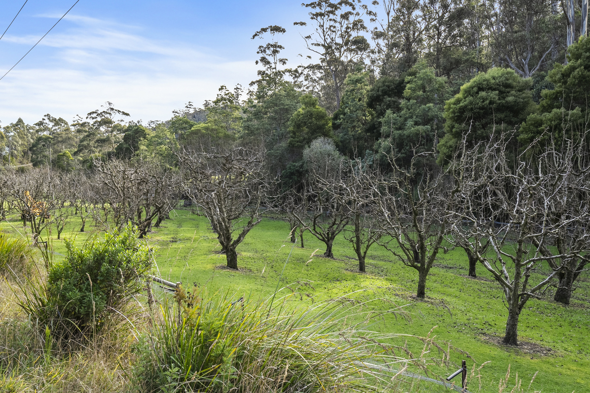 1915 NUBEENA RD, NUBEENA TAS 7184, 0 ਕਮਰੇ, 0 ਬਾਥਰੂਮ, Section