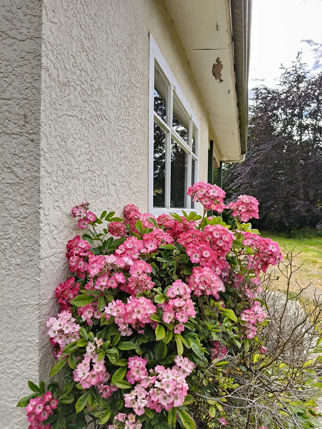 Lawrence 2Phòng ngủ Prominent position, potential opportunity