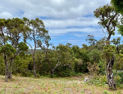 47 Karri Street, Walpole, WA 6398, 0房, 0浴, Section