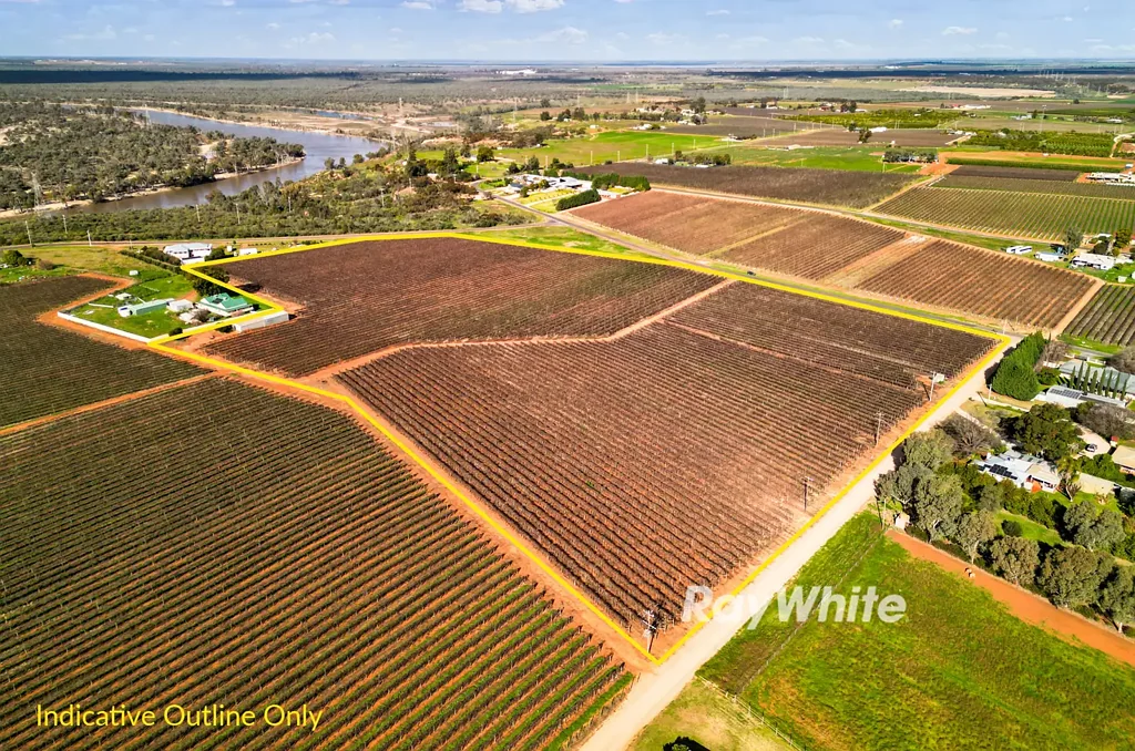 Red Cliffs  Chardonnay Vineyard with Shedding