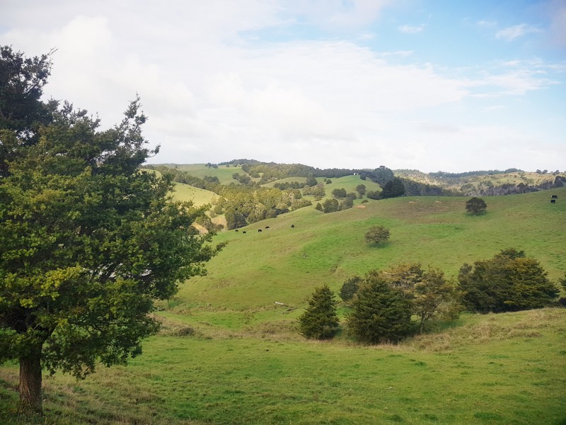 562 Arcadia Road, Mareretu, Kaipara, 0房, 1浴