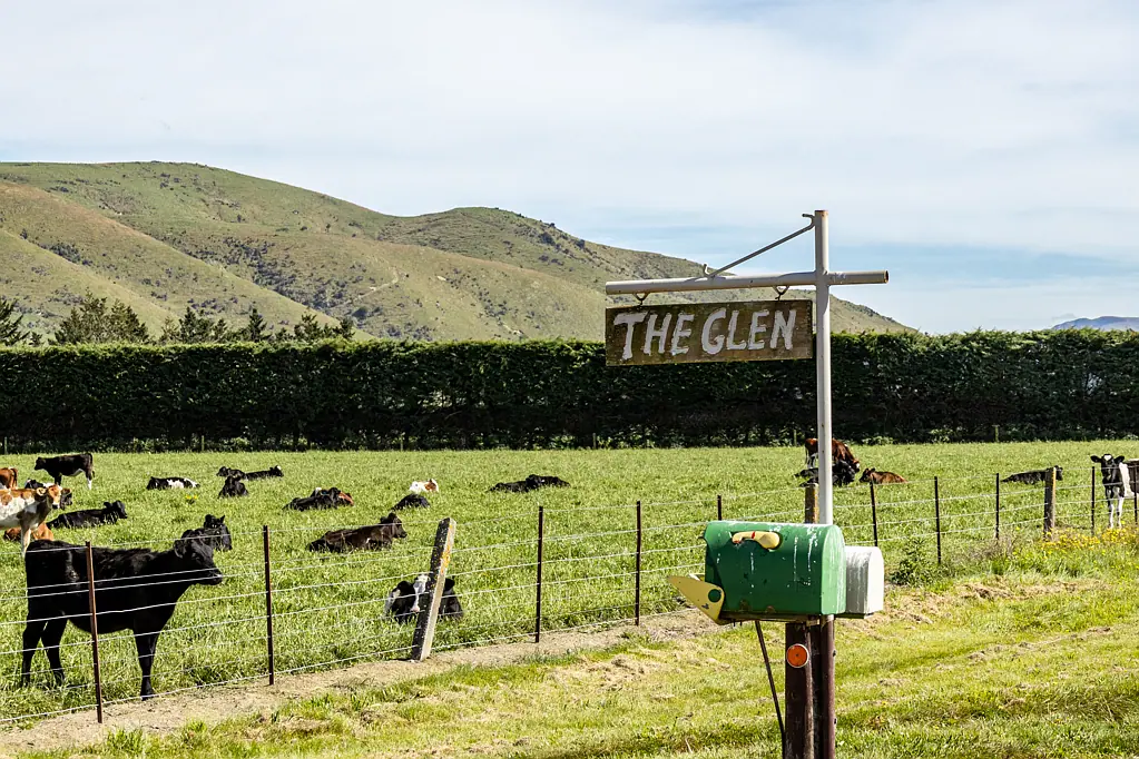 Ashburton The Glen- a hidden gem- 160 ha