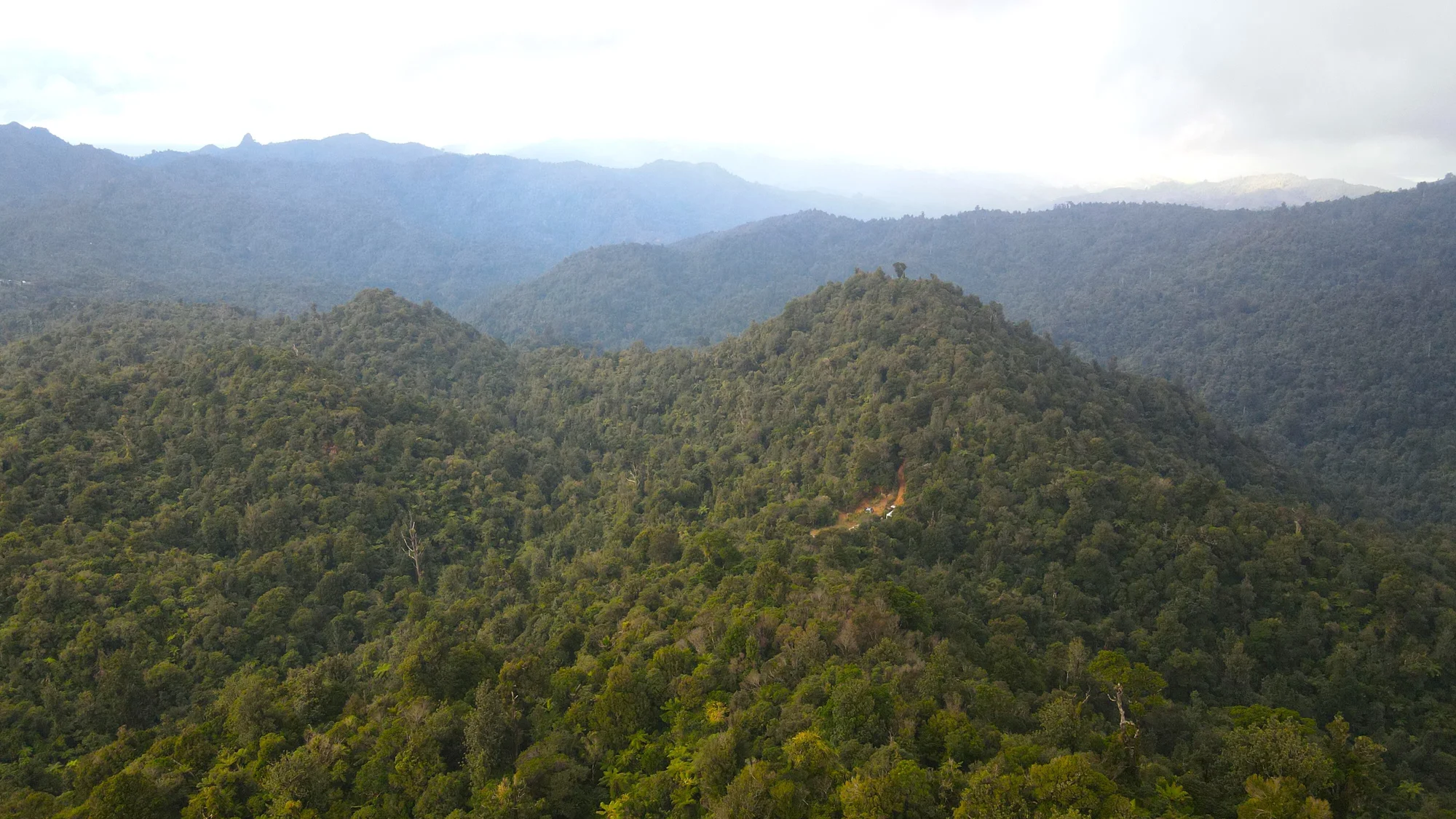 Manaia Views, privacy and native bush