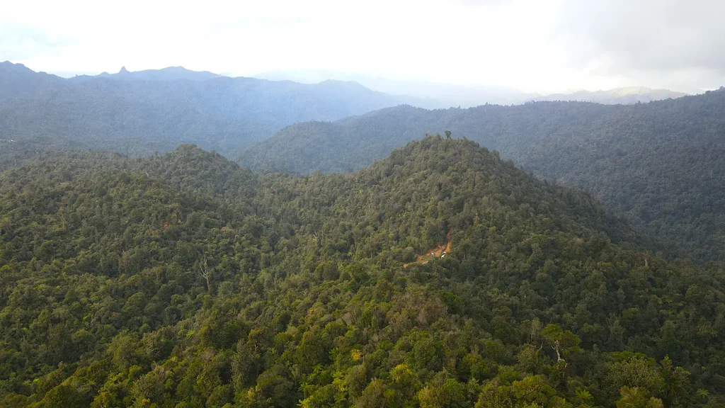 Manaia Views, privacy and native bush