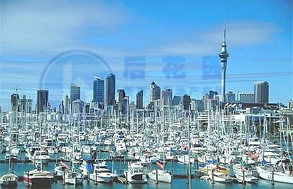 Grant Gillon博士呼吁：奥克兰密集化城市急需合理规划