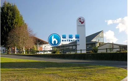 新西兰教育学院（Colleges of Education）