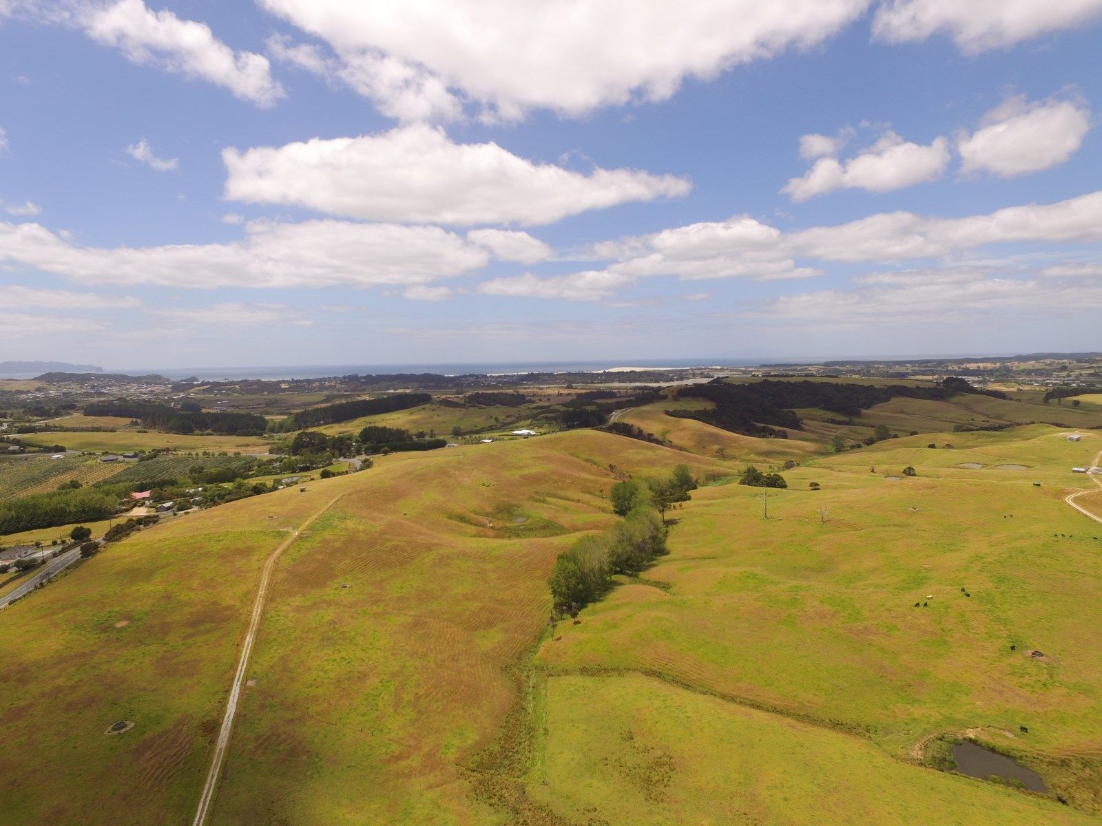 7 Cove Road, Waipu, Whangarei, 0 phòng ngủ, 0 phòng tắm, Retail Property