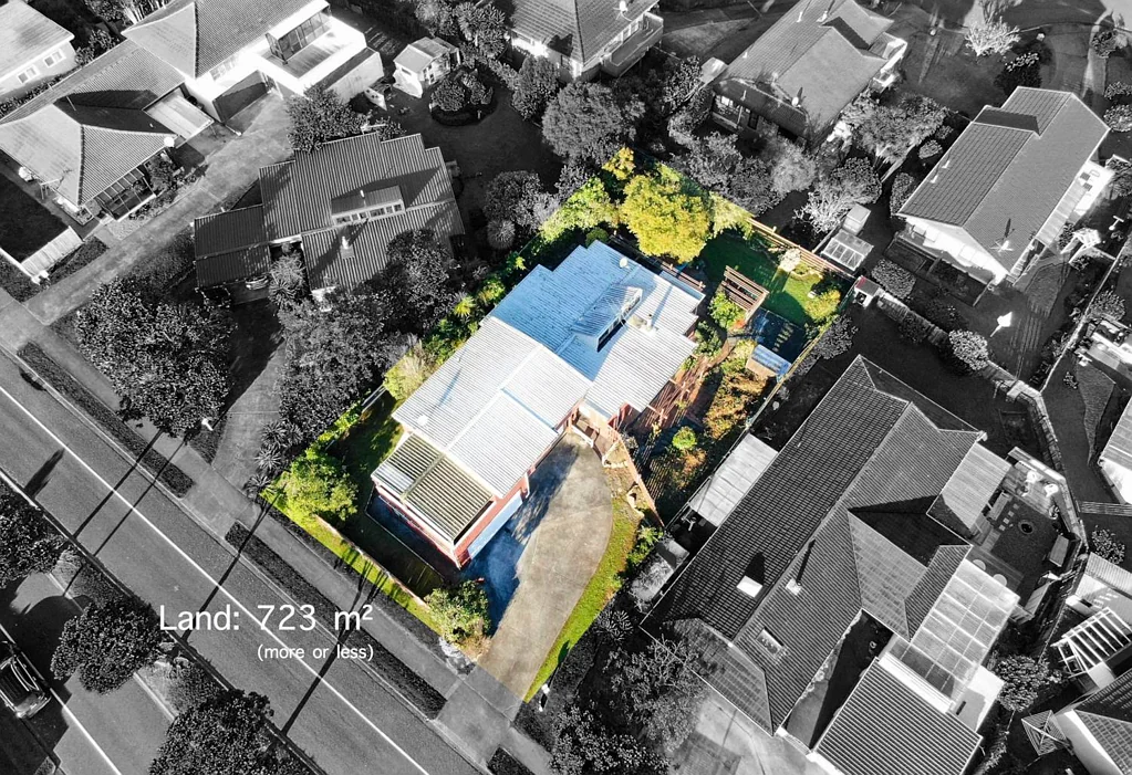 Highland Park 5બેડરૂમ Home & Income + Development Potential!