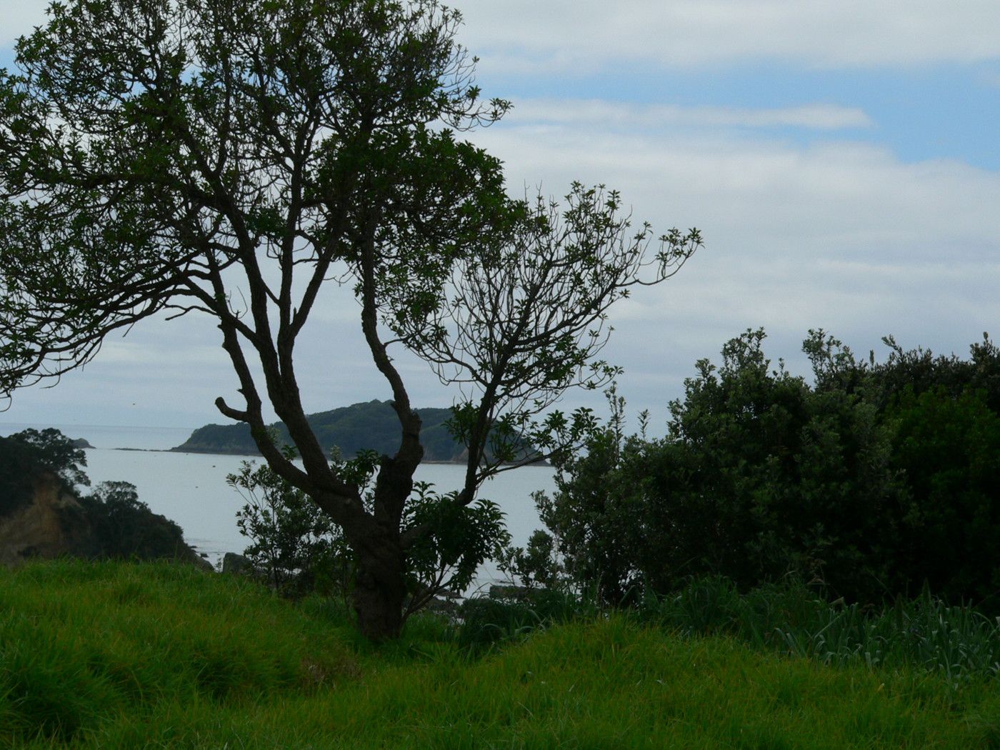 Hauraki Gulf Islands