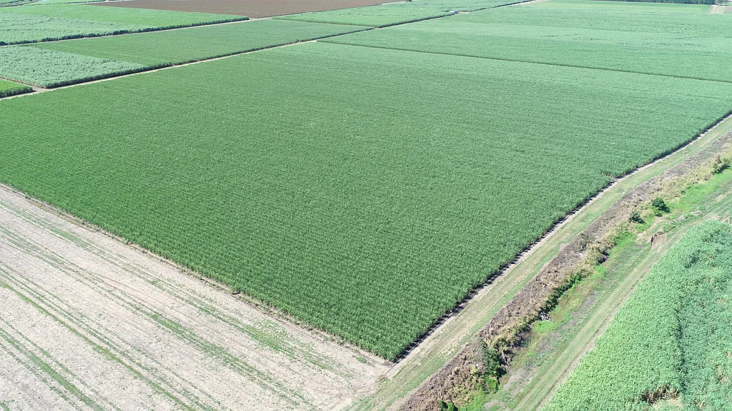 Ayr WATER, BURDEKIN, WATER Deep Alluvial soils and non-restricted water