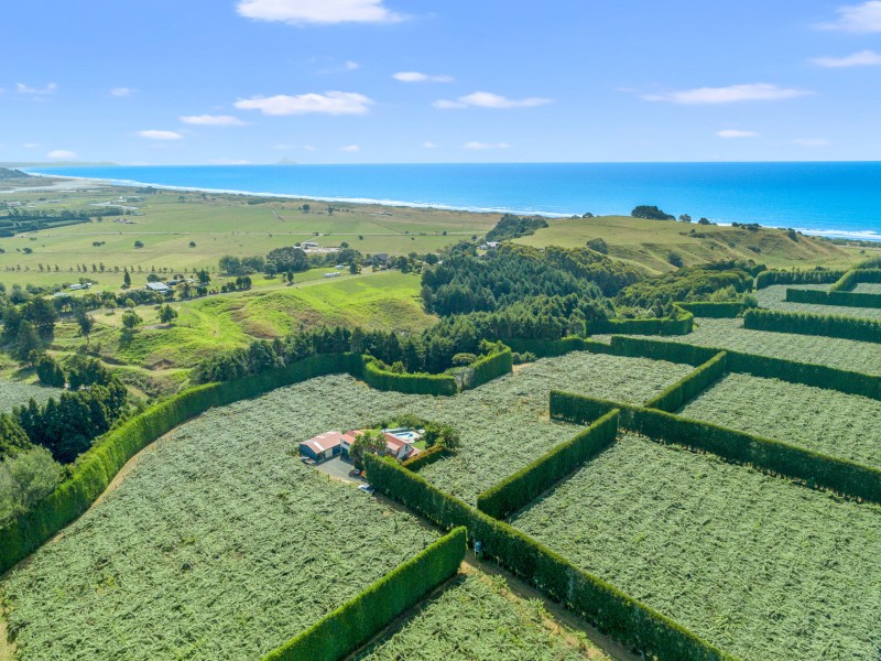 106 Beach Road, Opotiki Coastal, Opotiki, 4 ਕਮਰੇ, 0 ਬਾਥਰੂਮ