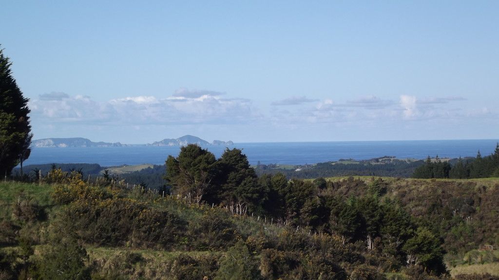 100 Kiwi Bush Lane (Pvt), Ngunguru, Whangarei, 1 rūma, 0 rūma horoi