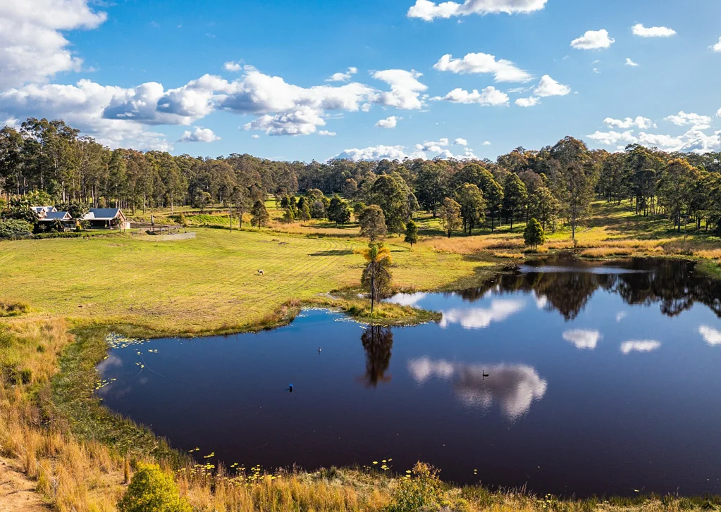 Tinonee Blossoming Business + Lifestyle Opportunity