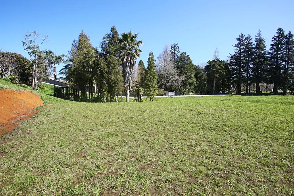 Tuakau Very exclusive bare section