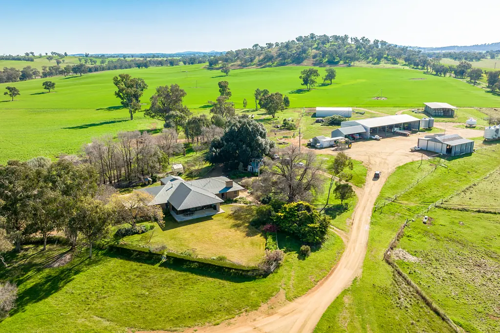 Culcairn 2812.75* acres/ 1138.30* Ha

OUTSTANDING EASTERN RIVERINA HOLDING