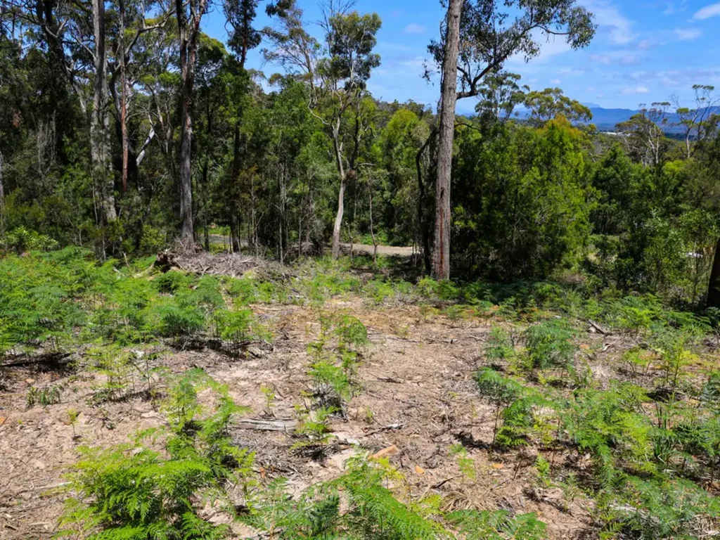 Wesley Vale Elevated Private Block with Cleared House Site