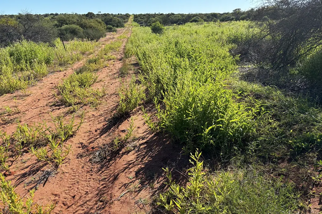 Meadow Move West - Great Value per DSE