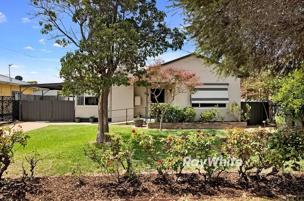 3 Bedroom Home + Study