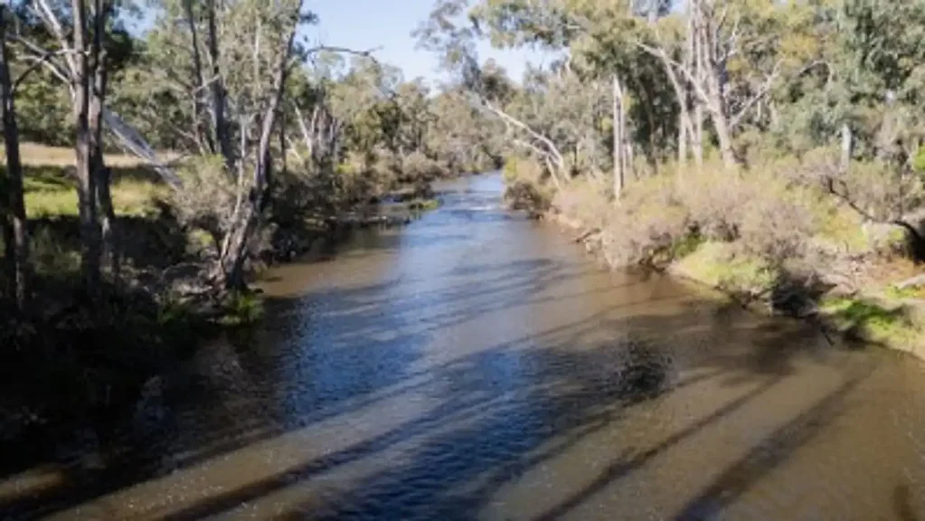Tenterfield Life in the bush