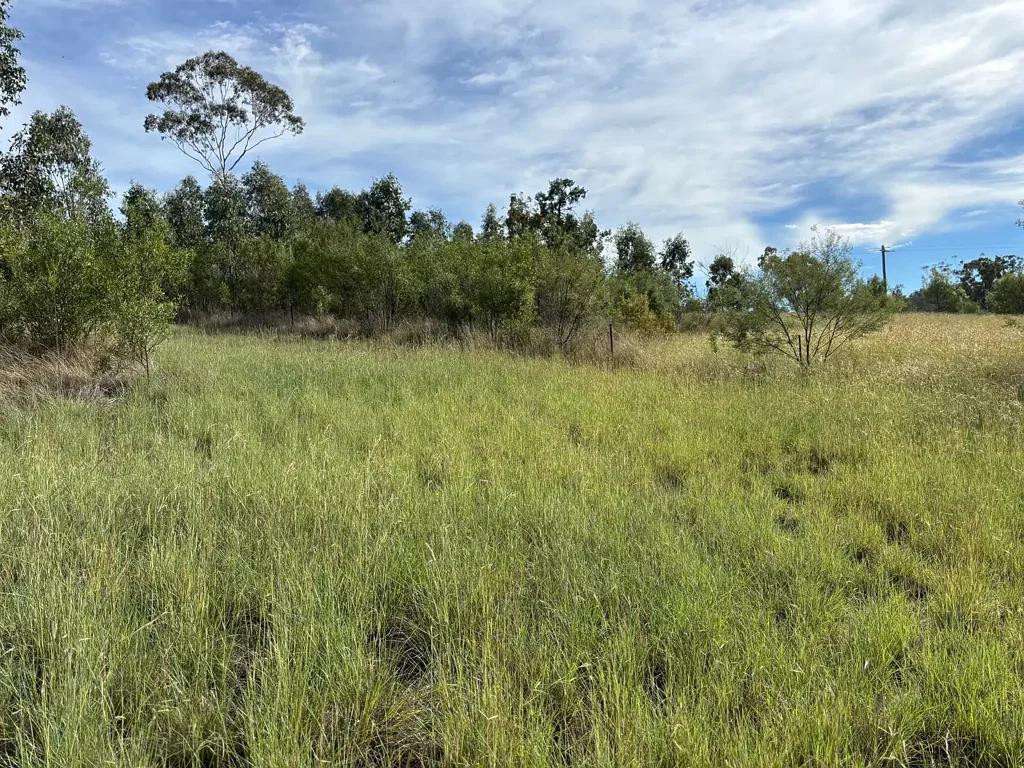 Warialda  Private, Peaceful & Sensational Location