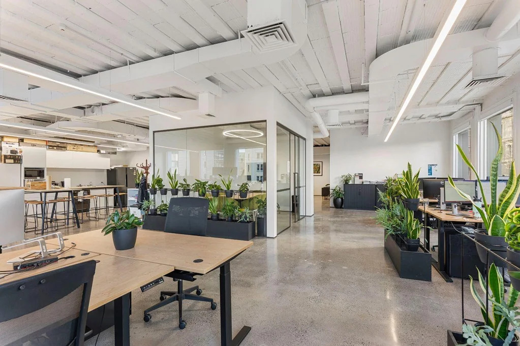 Auckland Central  CBRE – POLISHED ON PRINCES ST
