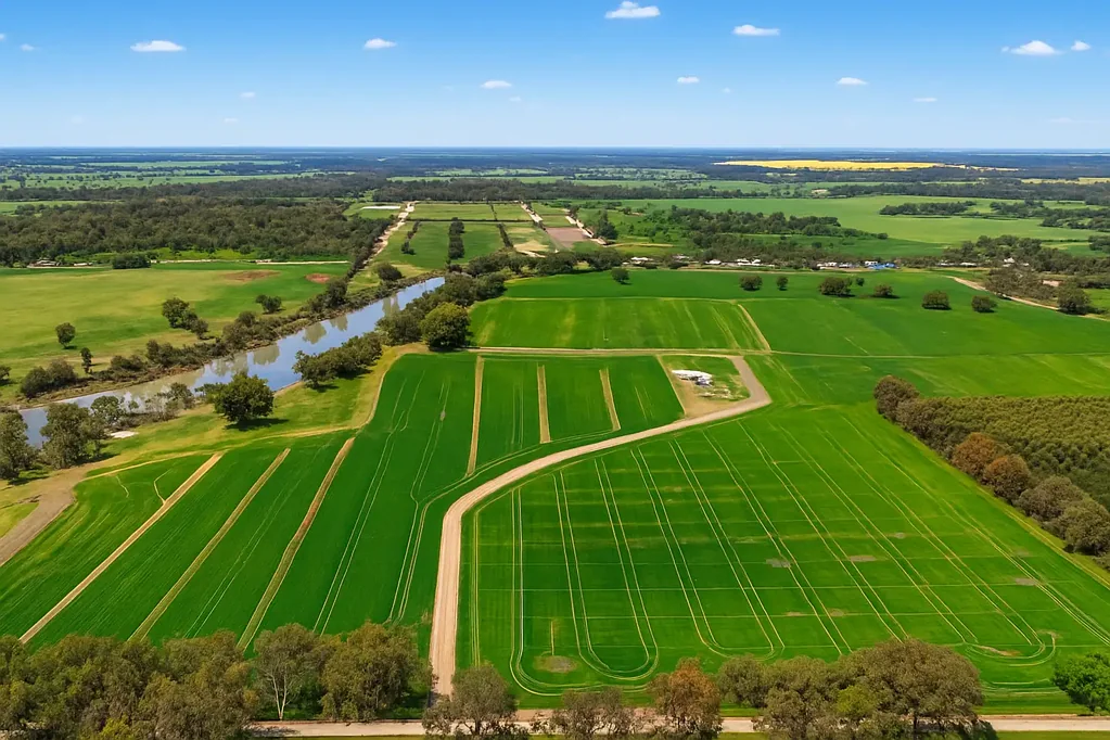 Patho Prime Opportunity on Gunbower Lagoon
