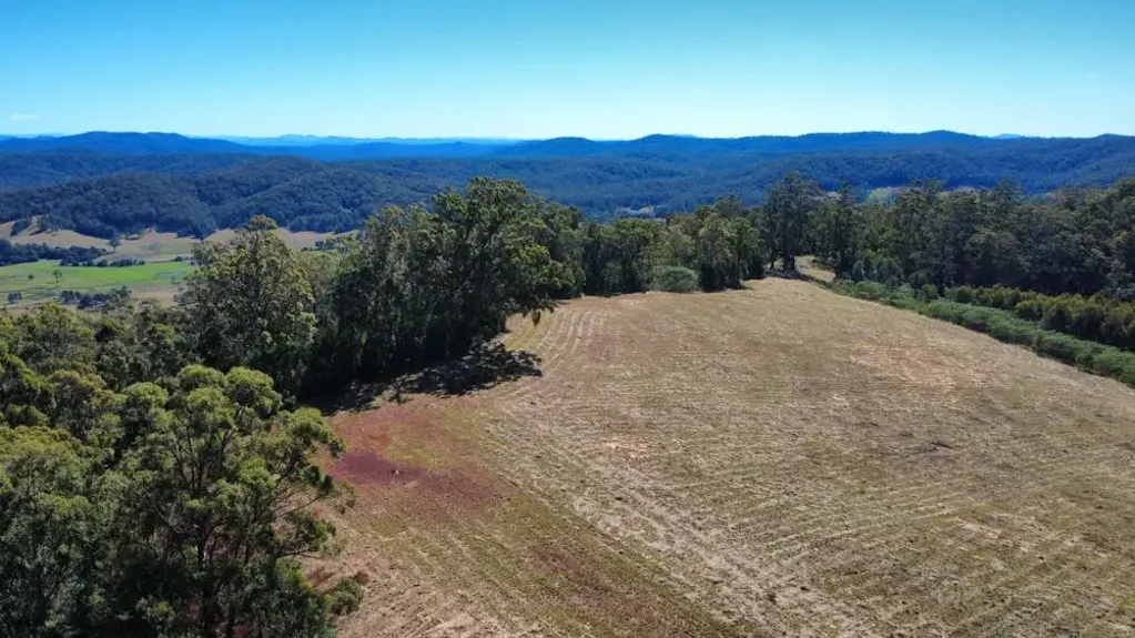 Telegraph Point  HOME, 250 ACRES,  DEEP ALLUVIAL RED SOIL