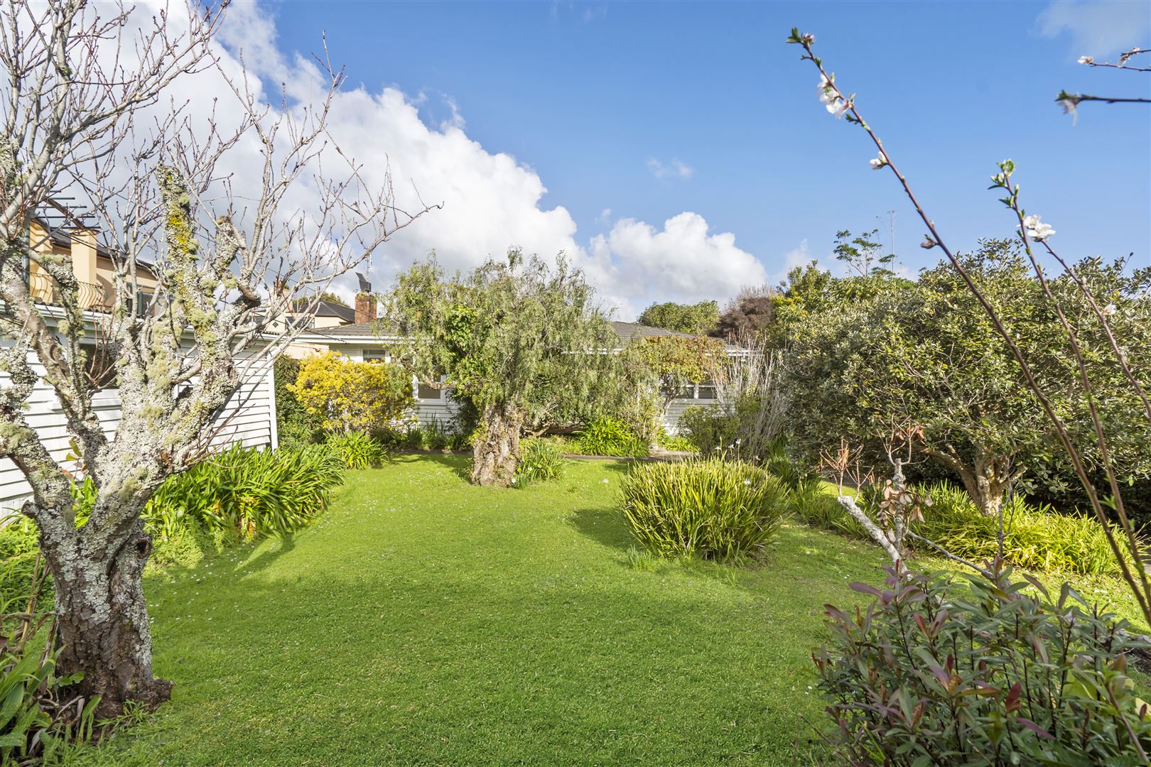 55 Williamson Avenue, Belmont, Auckland - North Shore, 3房, 0浴