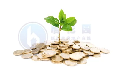新西兰已成为全球亿万富翁的投资热土