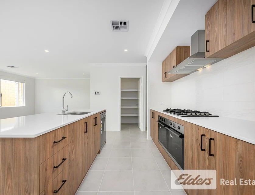 12 Tavistock  Street, Baldivis, Rockingham, 4 rūma, 2 rūma horoi, House