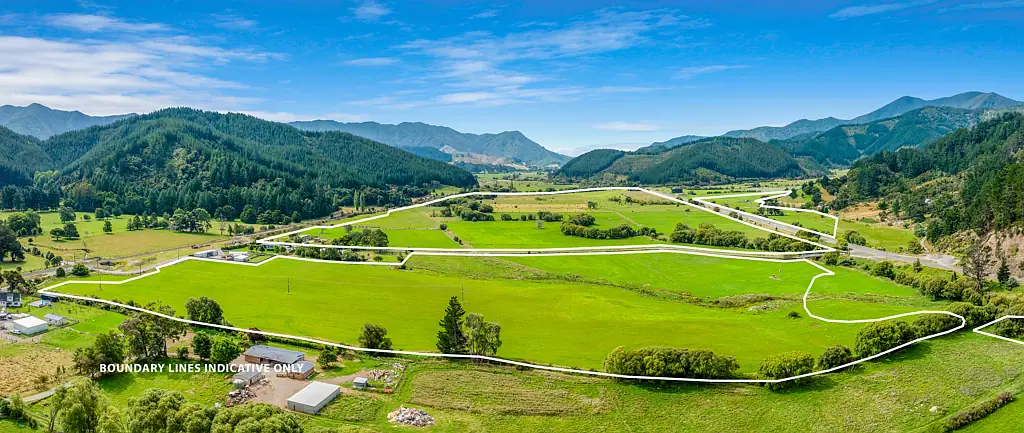 Picton Dairy Grazing and Supplements