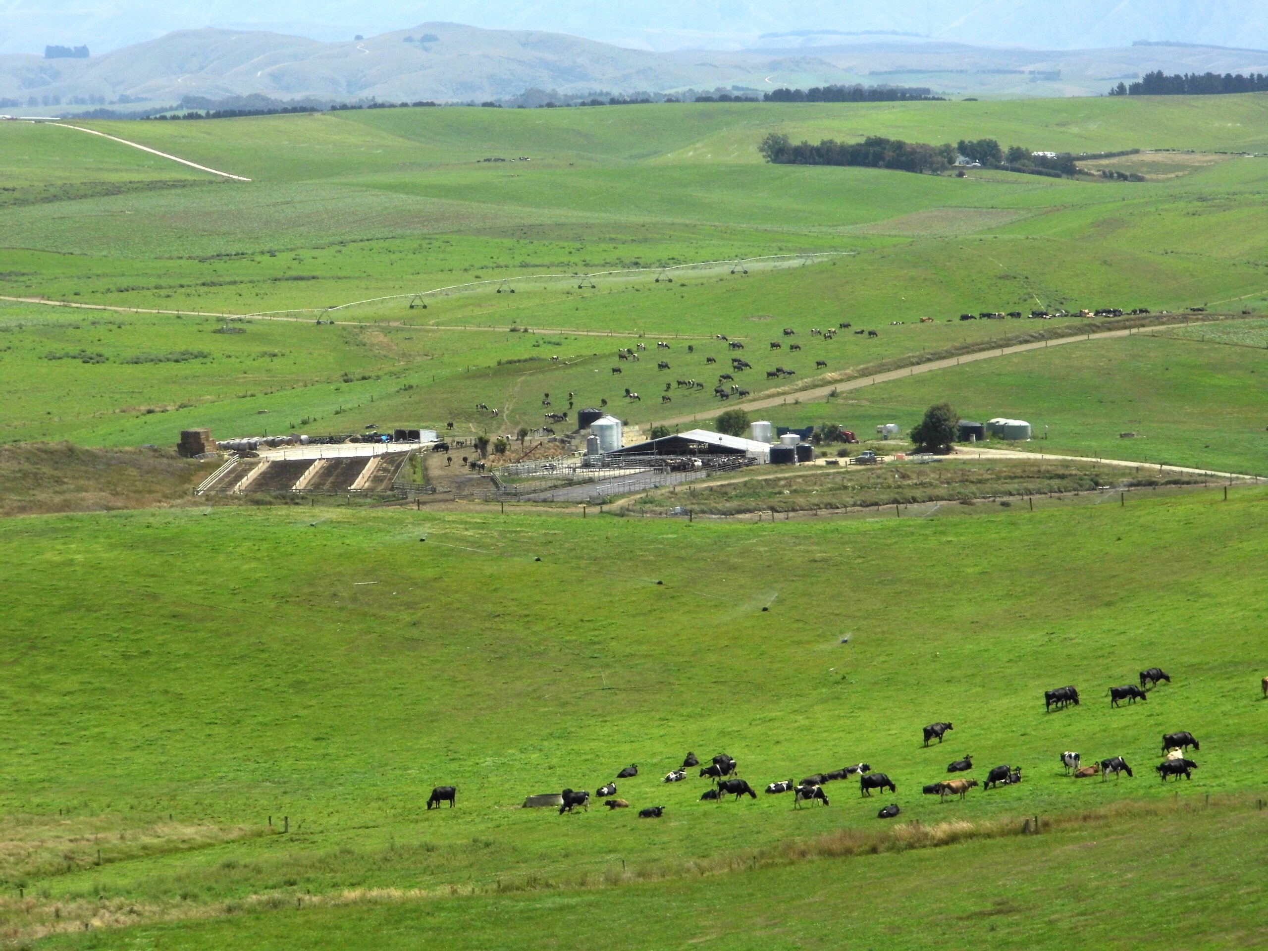 483 Burnside Road, Five Forks and Surrounds, Waitaki, 0 phòng ngủ, 0 phòng tắm, Dairy