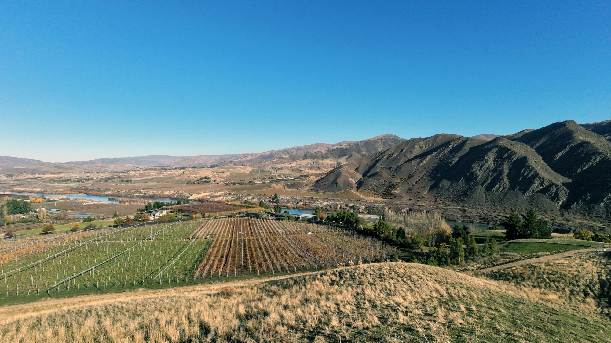 Cromwell  Views Across Orchards & Hills