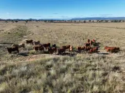 Emu Vale, Bingara