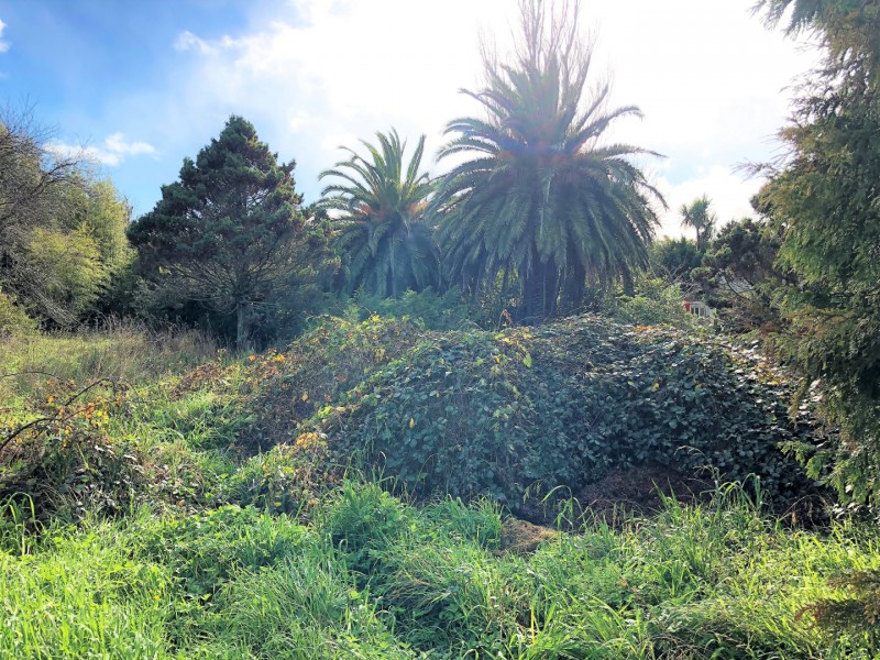 11 Grand Street, Shannon, Horowhenua, 0 rūma, 0 rūma horoi