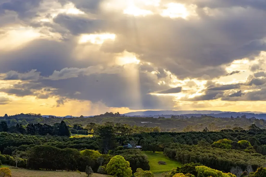 519 Pearces Creek Road, Alstonvale, NSW 2477