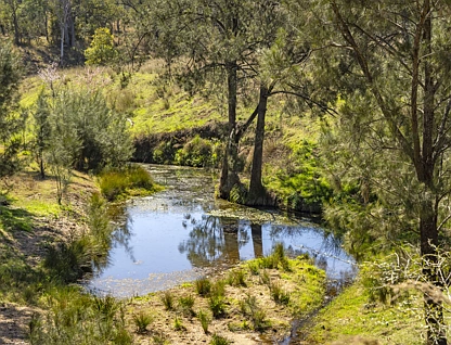  Lot 164 Voll Road, Emu Creek, Darling Downs, 0房, 0浴, Section