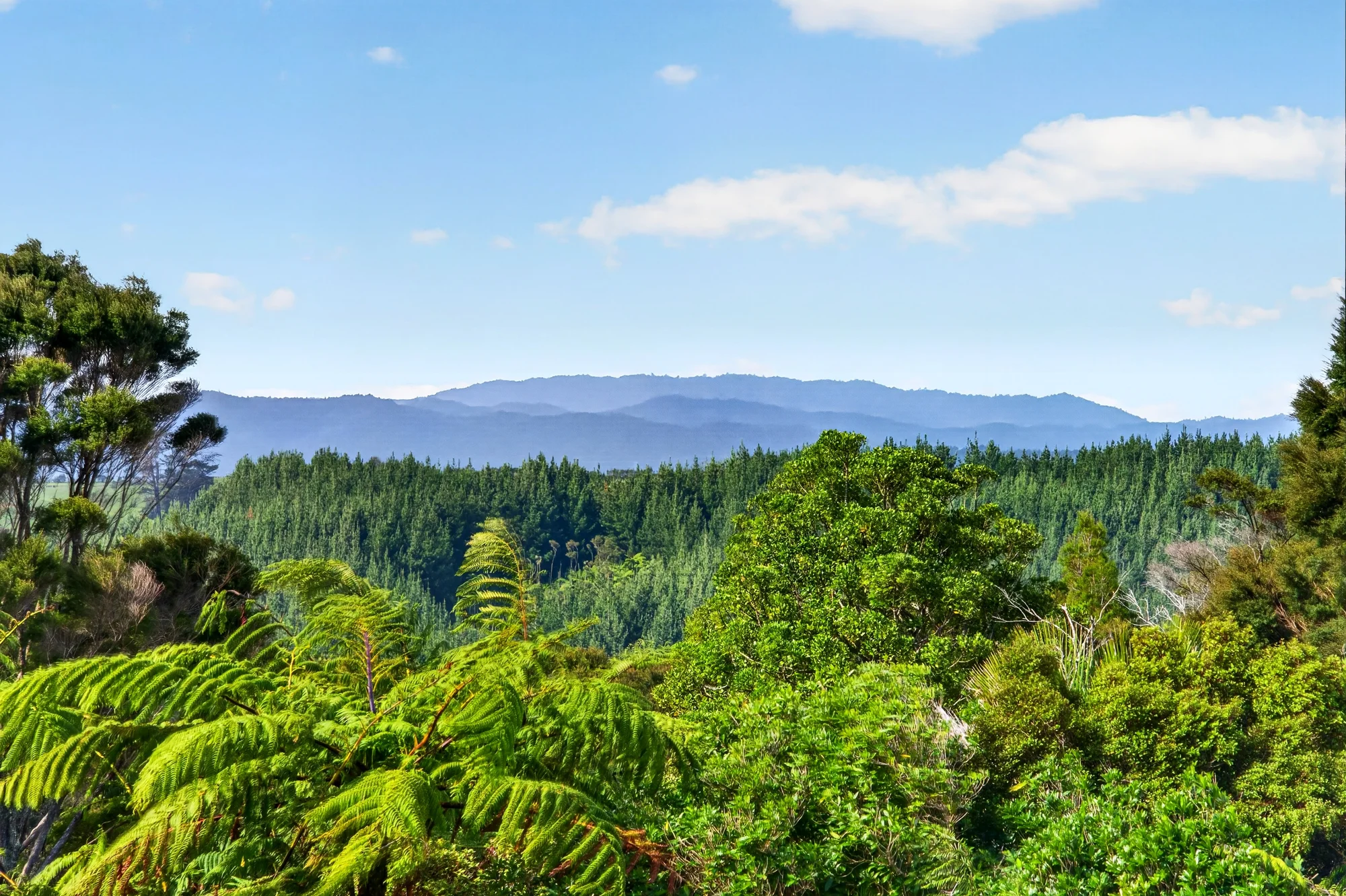 Hunua 3房  Country Escape - Minutes From Town!
