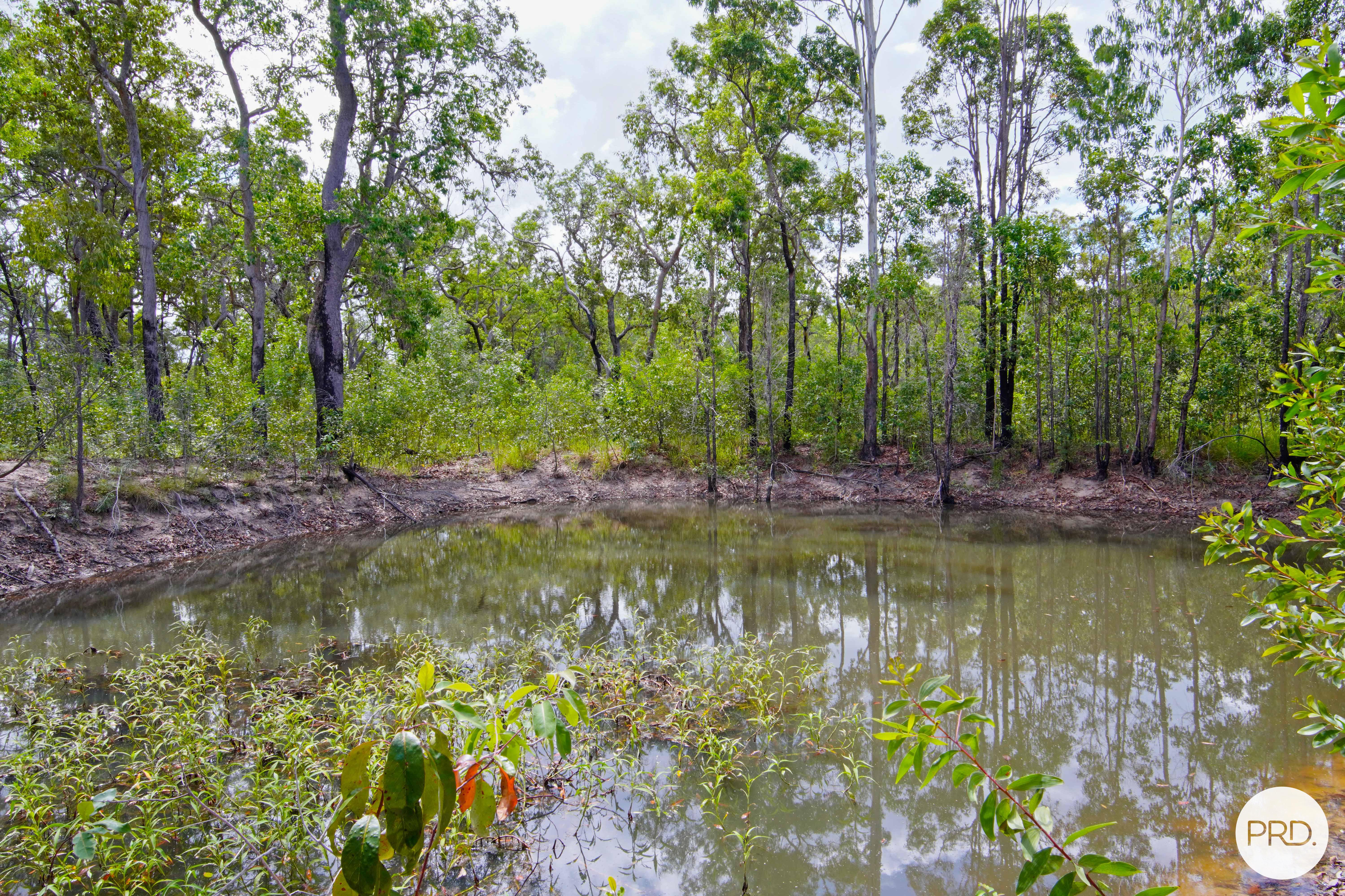 426 MITCHELL RD, MOUNT MARIA QLD 4674, 0房, 0浴, House